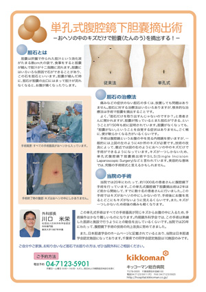 胆石