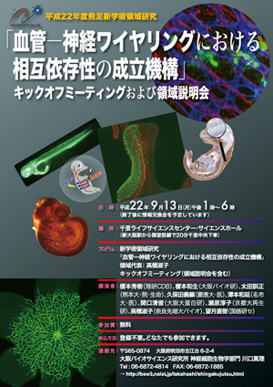 血管-神経ワイヤリングにおける相互依存性の成立機構」キックオフミーティングおよび領域説明会